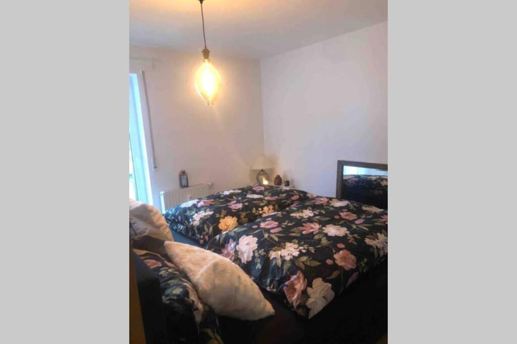 Sonnenoase Gufi Appartement Gundelfingen  Buitenkant foto